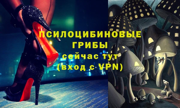 прущие крисы Белоозёрский
