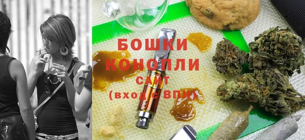 PSILOCYBIN Белокуриха