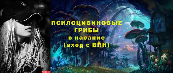 PSILOCYBIN Белокуриха