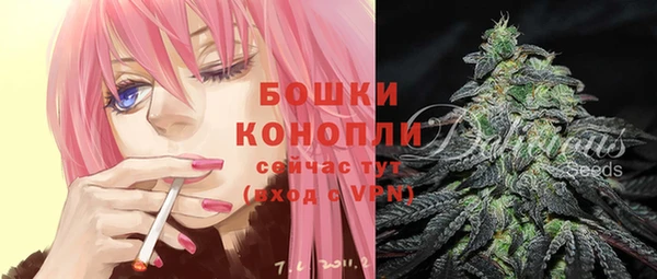 PSILOCYBIN Белокуриха