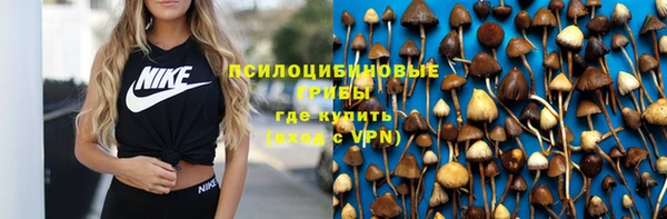 PSILOCYBIN Белокуриха