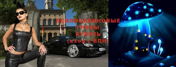прущие крисы Белоозёрский