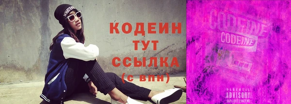 индика Коряжма