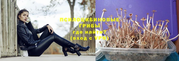 PSILOCYBIN Белокуриха